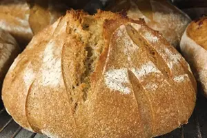 Tour image of Elfin Forest Nature Tour with Local Sweet and Savory Tasting
