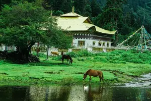 Tour image of 4 Days Yubeng Trekking Tour