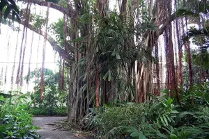 Tour image of Beach Excursion in Tortola and sightseeing in Fahie Hills
