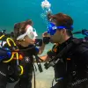 Image of Freediving