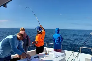Tour image of Private Deep Sea Sport Fishing