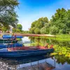 Image of Lunch Cruises