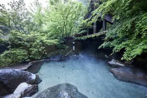 Tour image of Kyushu: Aso Vocano, Grassland,Onsen and Aso shrine 1-Day Tour