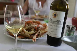 Tour image of Bordeaux Médoc Region Private Wine Lovers Tour with Chateau Visits & Tastings