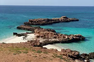Tour image of Snorkeling Adventure to Daymaniat Islands
