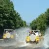 Image of Motor Sports