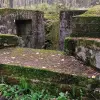 Image of Archaeology Tours