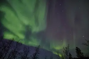 Tour image of Aurora Tour with Dinner in Abisko