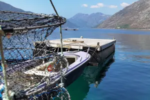 Tour image of Mussel & Oyster Farm with Perast visitation Private Tour
