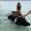 Image of Nature and Wildlife Tours