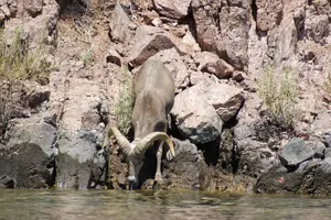 Tour image of Emerald Cave Kayak Tour with Lunch & Las Vegas Shuttle Option