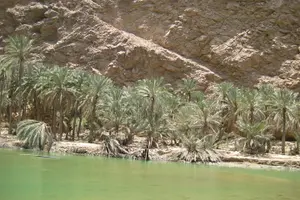 Tour image of Coastal Tour and Wadi Hike from Muscat