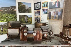 Tour image of Dine on a Combo Druze Culinary and History Tour