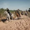 Image of Horseback Riding