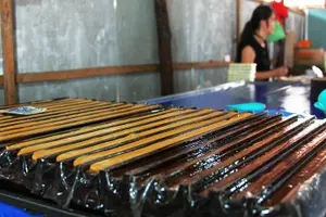 Tour image of Small-Group 1-Day Tour: Cu Chi Tunnels & Mekong Delta