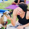 Image of Yoga Classes