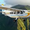 Image of In the Air