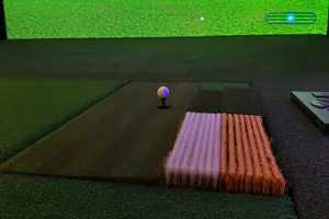 Tour image of 2-Hour Private Indoor Virtual Golf Simulator powered by Golfzon