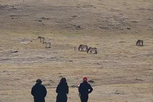 Tour image of Wildlife Watching Day Tour at Hustai National Park