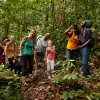 Image of Nature Walks