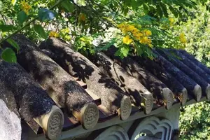 Tour image of Chinese Classical Garden and Ancient Water Village Private Tour