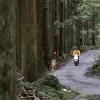 Image of Motorcycle Tours