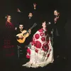 Image of Flamenco Performance