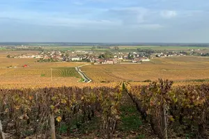 Tour image of Discover the great wines of Vosne-Romanée