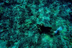 Tour image of 4 Hour Super-Raft Snorkeling Experience in Kailua-Kona