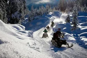 Tour image of Full Day Snowmobile Safari