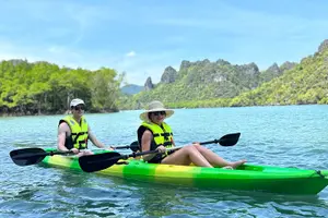 Tour image of Kayaking Kilim Mangrove Geoforest