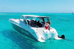 Tour image of Tobago Cays - Swim with the turtles in tropical paradise