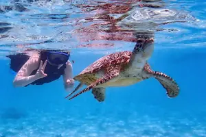 Tour image of Snorkeling Activity in Okinawa Miyako Japan