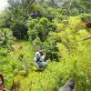 Image of Ziplining