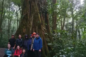 Tour image of Monteverde Night Walk Tour: the night life of the forest