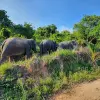 Image of Hiking Tours