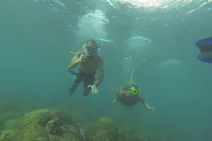 Tour image of OCTOPUS DIVING (hookah diving) NO Experience Needed