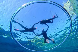 Tour image of [Okinawa Blue Cave] Snorkeling with Private Guide+ Free Photos