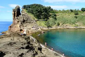 Tour image of Whale Watching Tour + Vila Franca Islet: Full-day with lunch