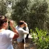 Image of Bird Watching