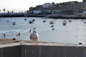 Tour image of Private Sea Kayaking in Cascais Bay, Lisbon: Glide & Explore!