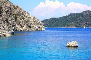 Tour image of Dolphin Island Boat Trip – Swim, Sun & Lunch Included