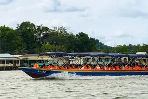 Tour image of Brunei Mangrove River Safari
