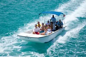 Tour image of Stingray City