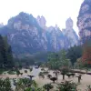 Image of Mountain Bike Tours