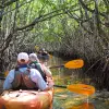 Image of Wildlife Watching