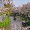 Image of Architecture Tours