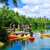 Image of Kayaking Tours