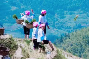 Tour image of Small Group: Longji Rice Terraces & Minority Village Tour