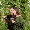 Image of Plantation Tours